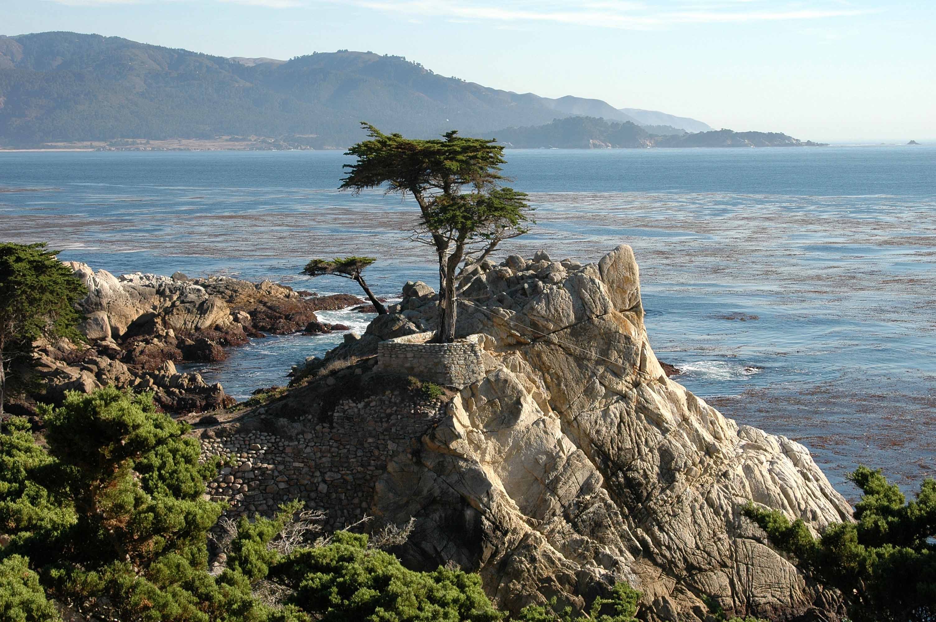 Lone Cypress on 17 Mile Drive