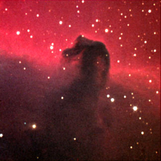 Horsehead