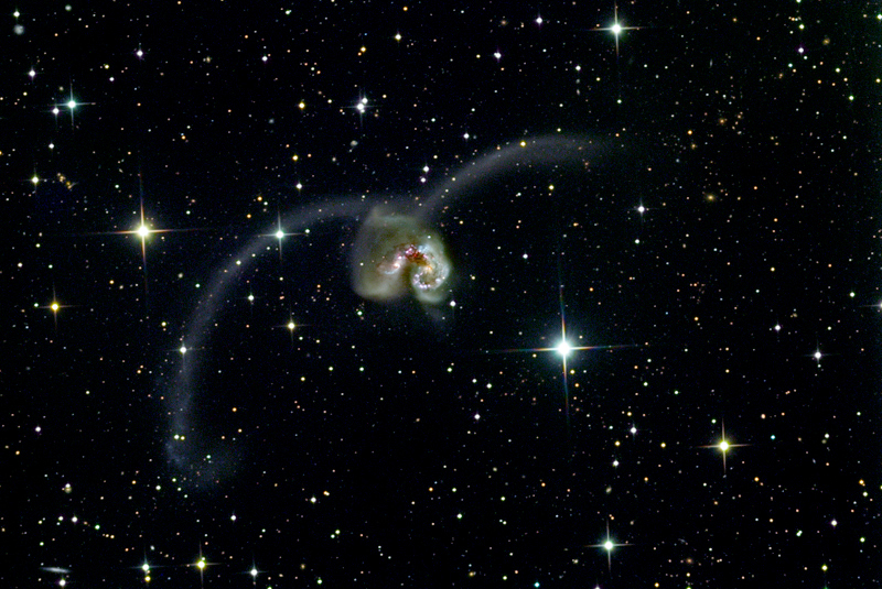 Ring Tail Galaxies