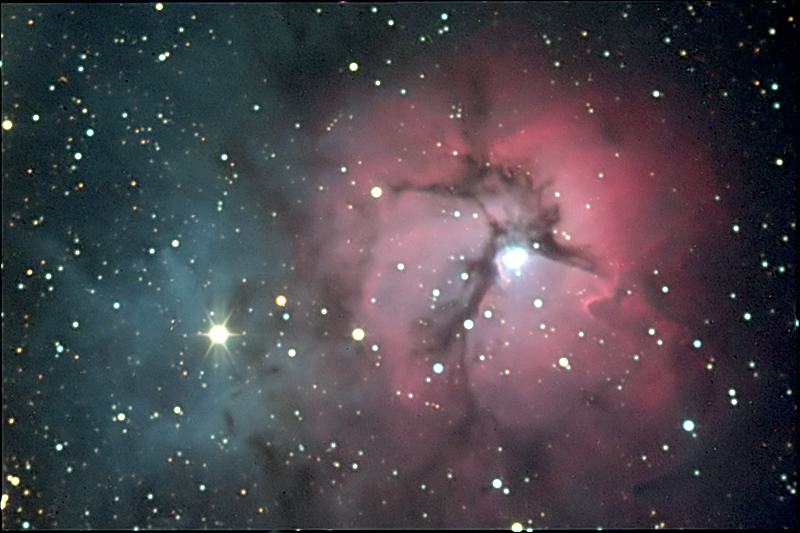 Trifid