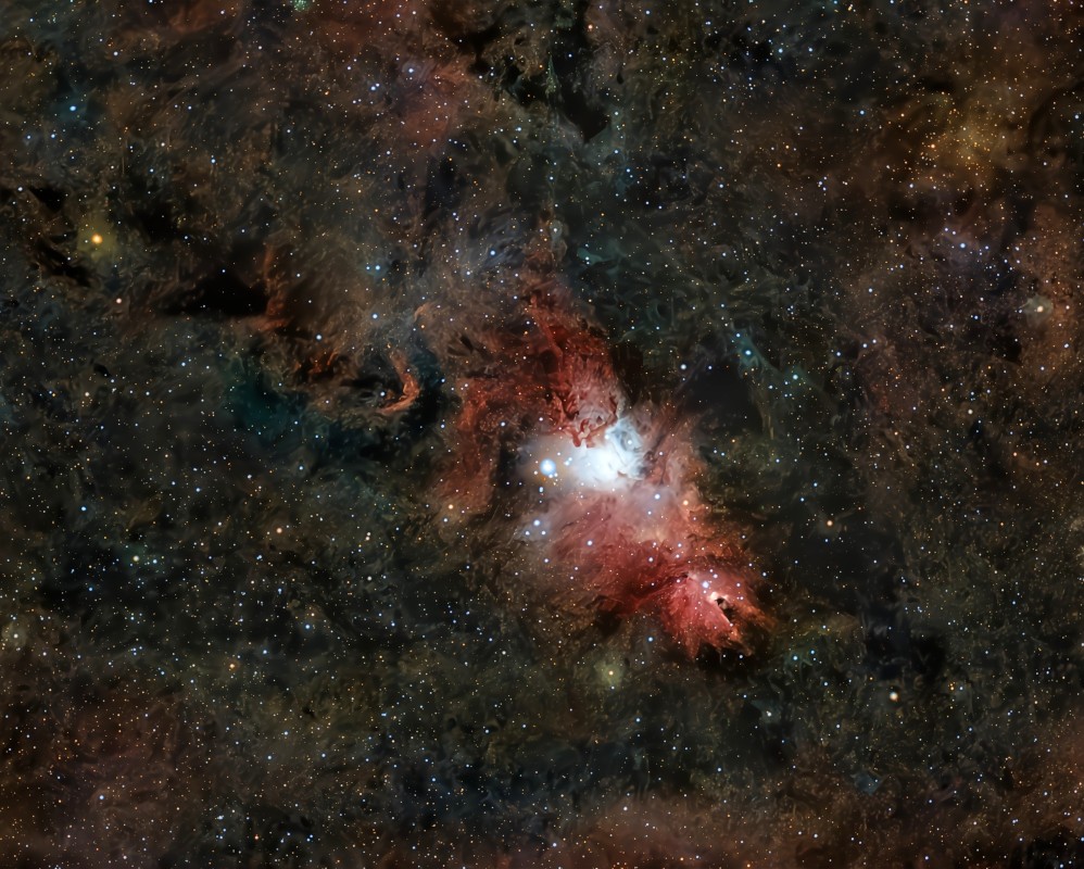 NGC-2264