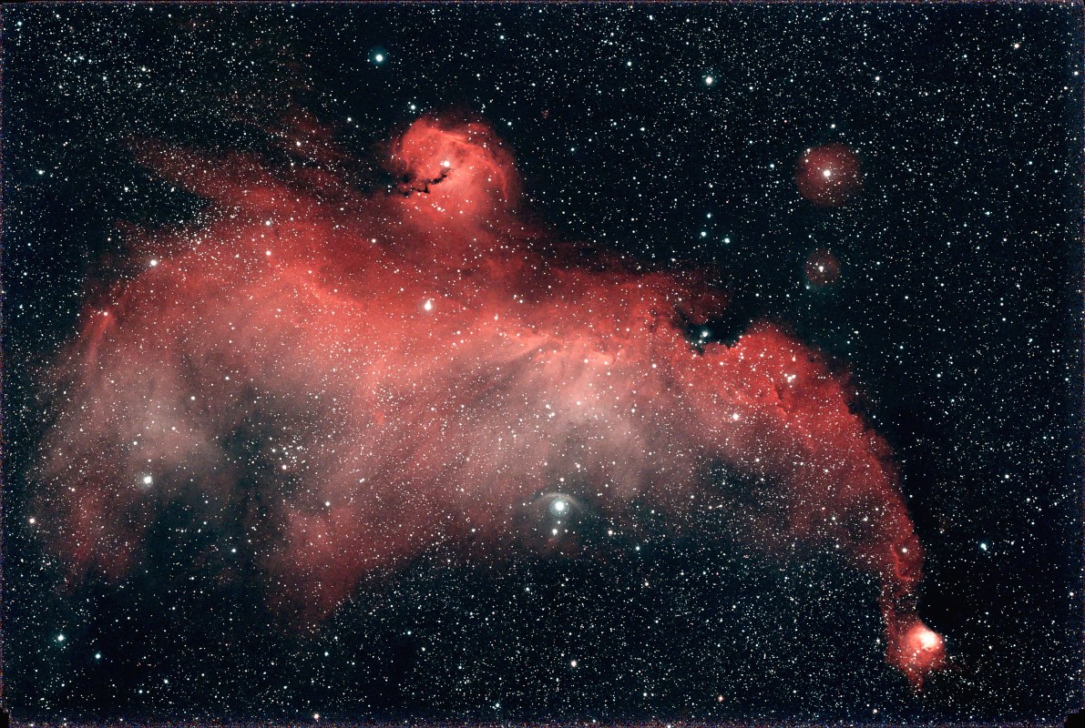 IC-2177 Seagull Nebula