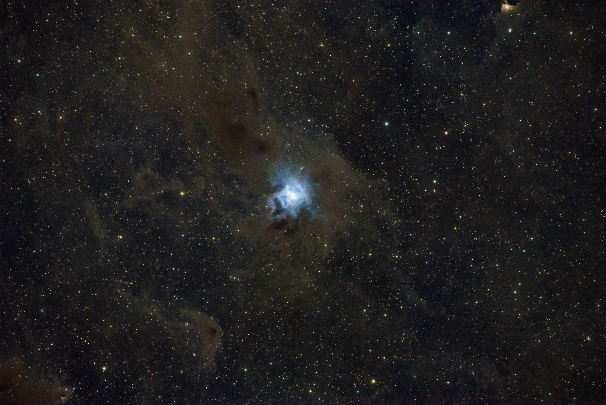 NGC-7023 Iris Nebula