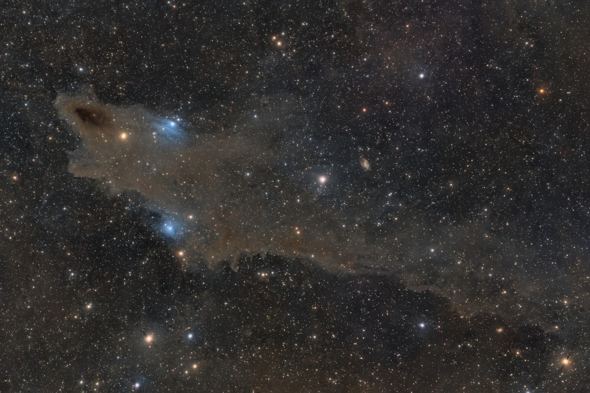 LDN-1235 Dark Shark Nebula