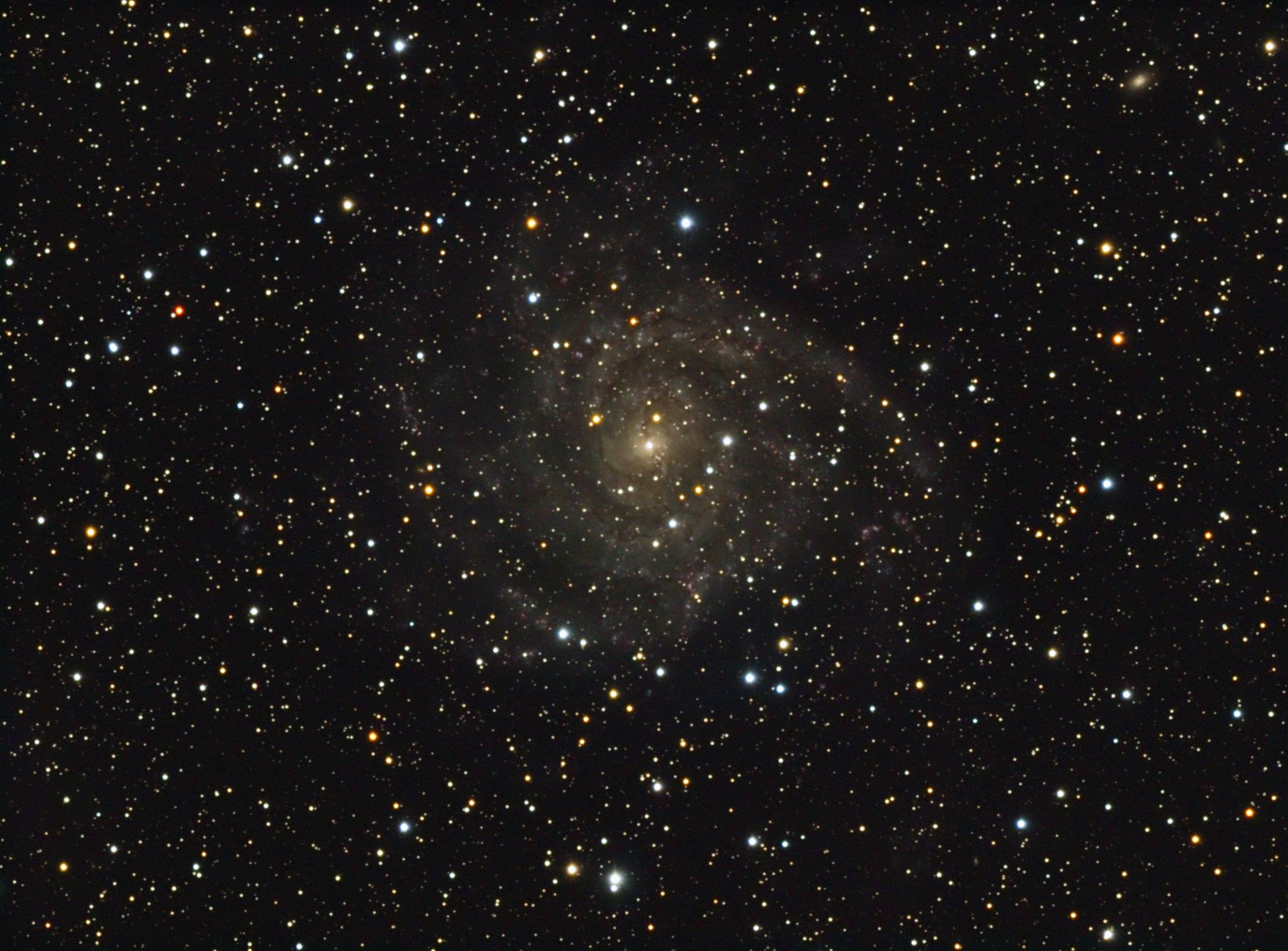 IC 342