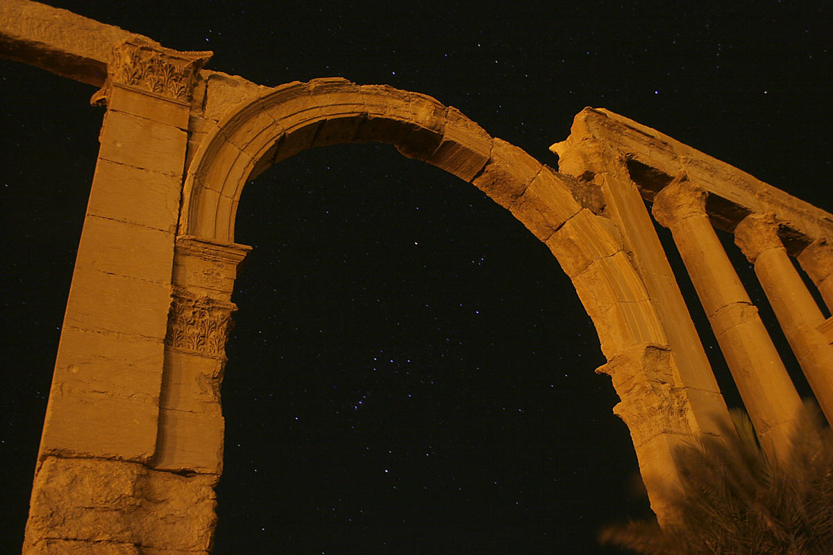 Orion Rising In Palmyra