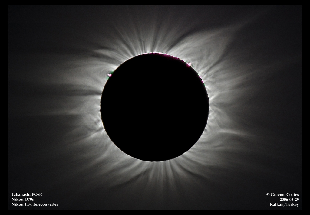 High contrast solar corona