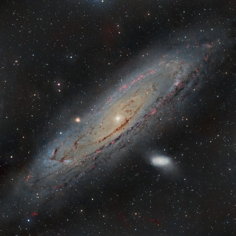 M31