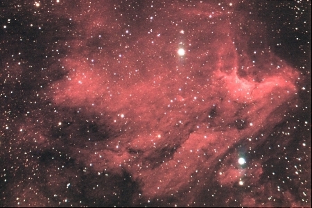 IC 5070 Pelican Nebula