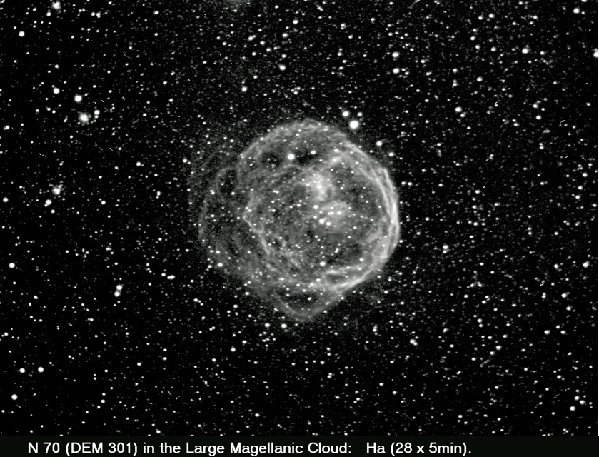 N-70 (DEM-301) in the LMC