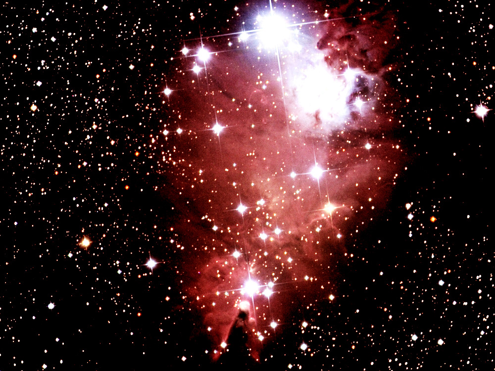 Christmas Tree Cluster