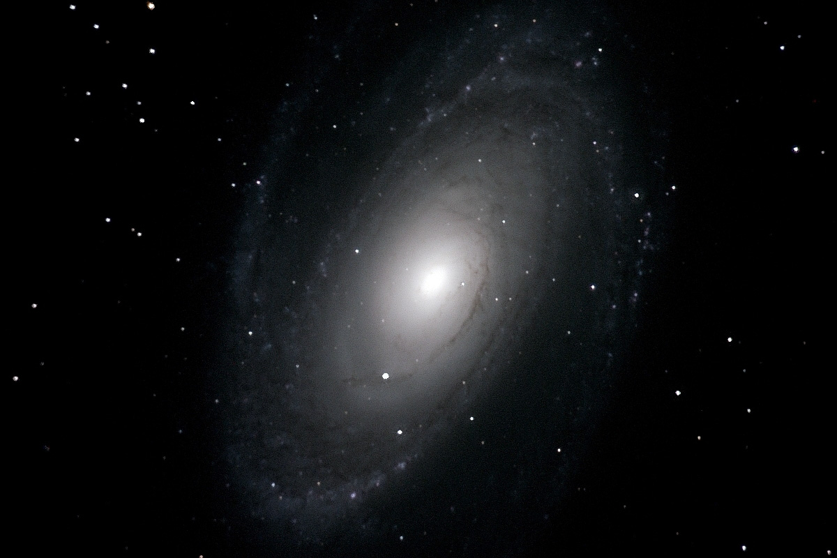 M81