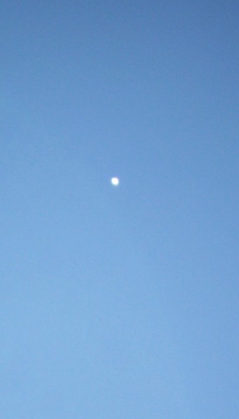 Daytime Venus
