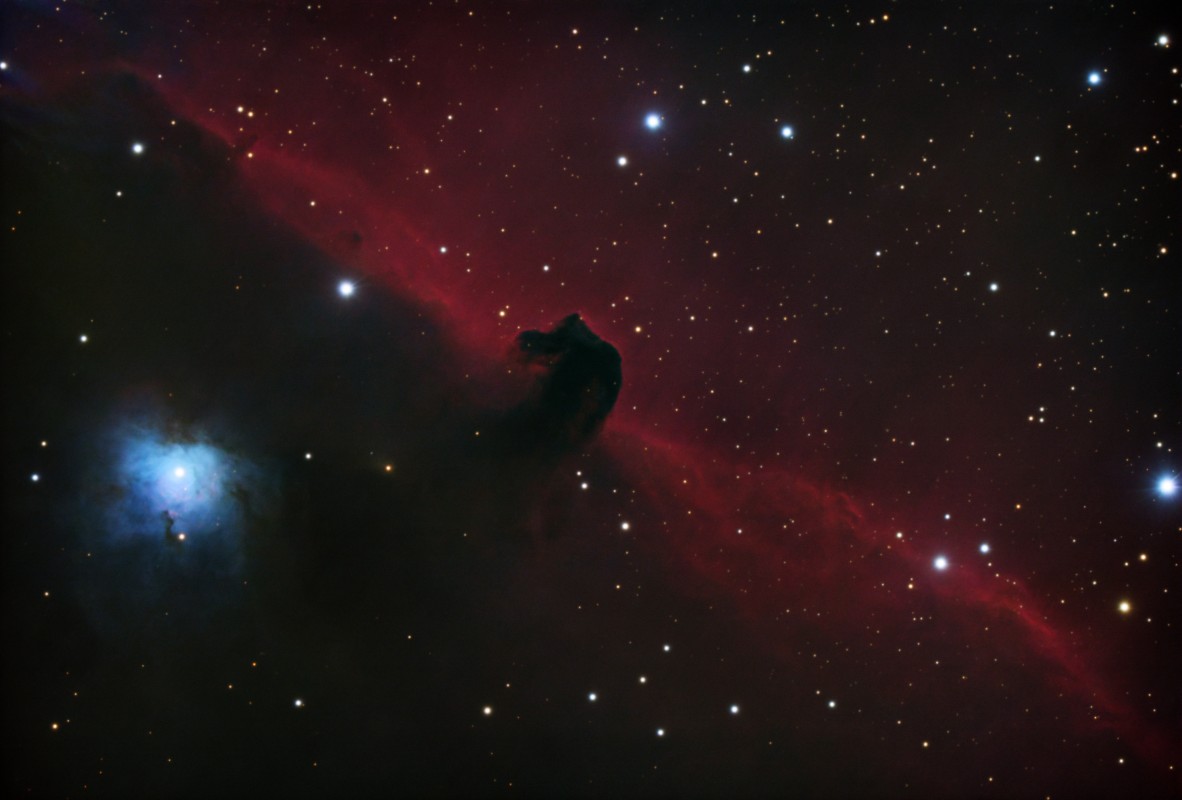 Horsehead