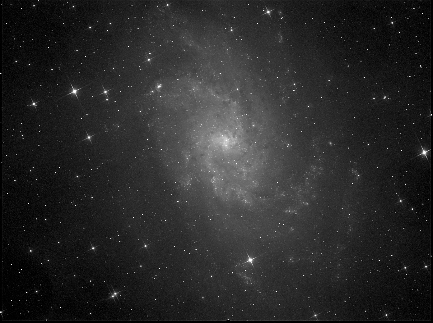 M33