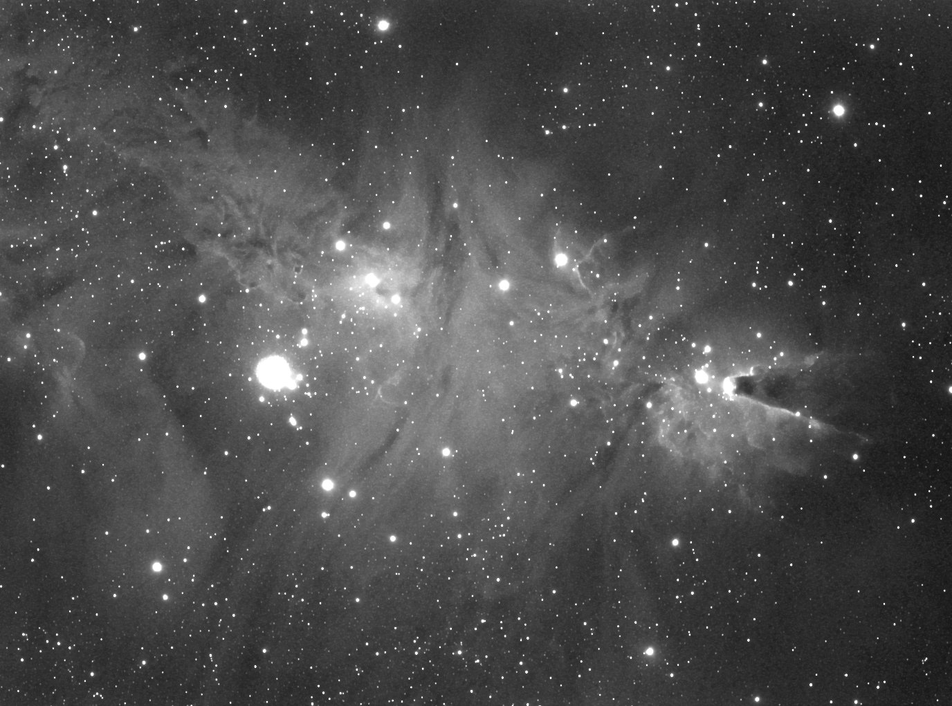 NGC2264 - Cone and Foxfur