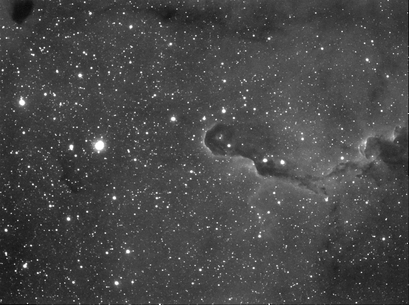 VDB142 - Elephant Trunk Nebula