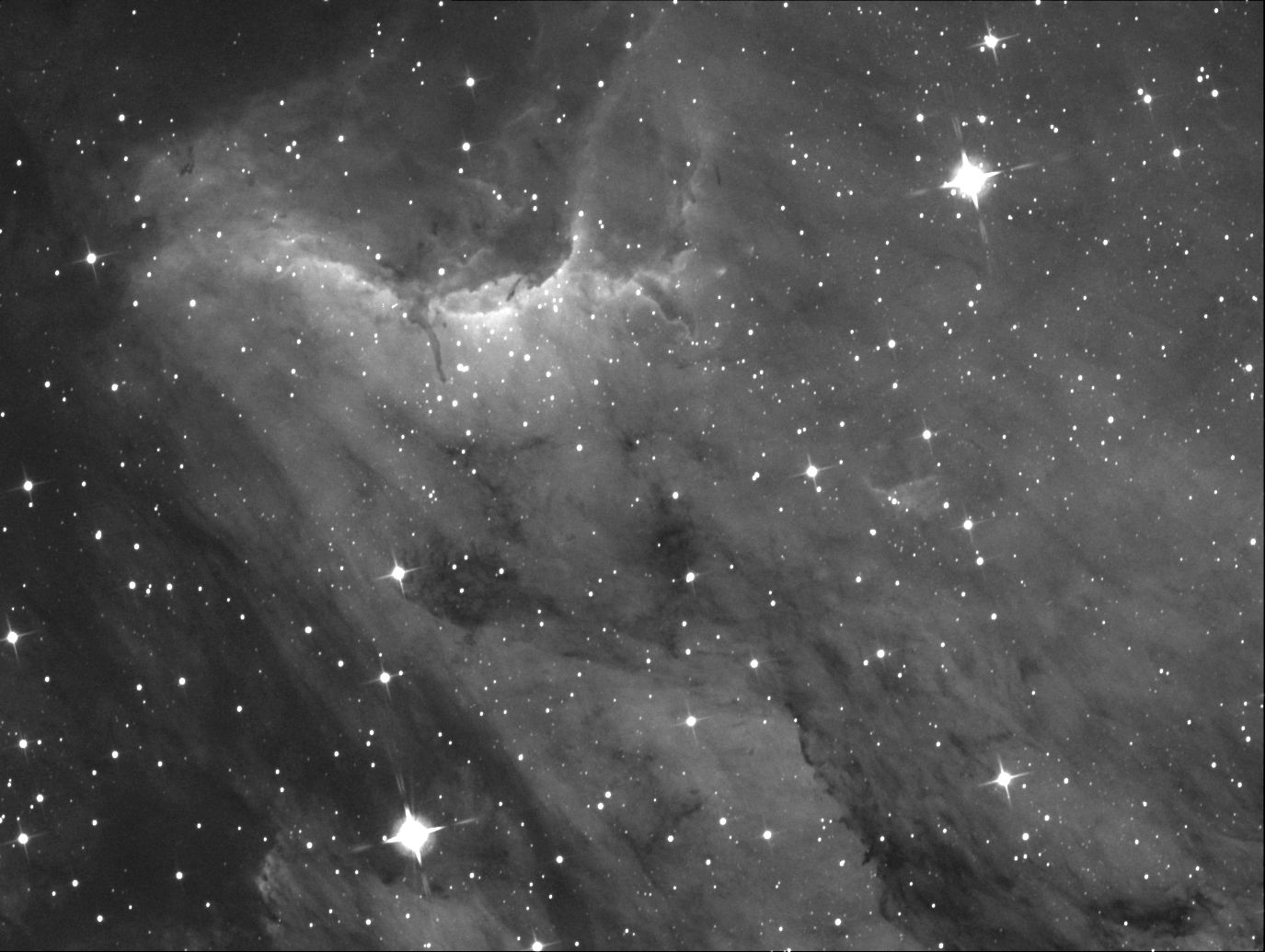 IC5070 - The Pelican Nebula