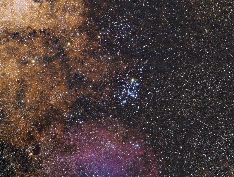 The Butterfly Cluster
