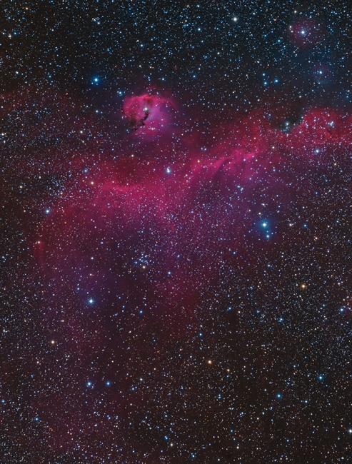 The Sea goal Nebula(IC 2177)