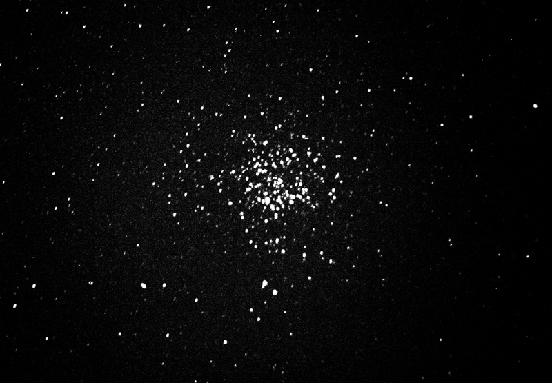 The Wild Duck Cluster