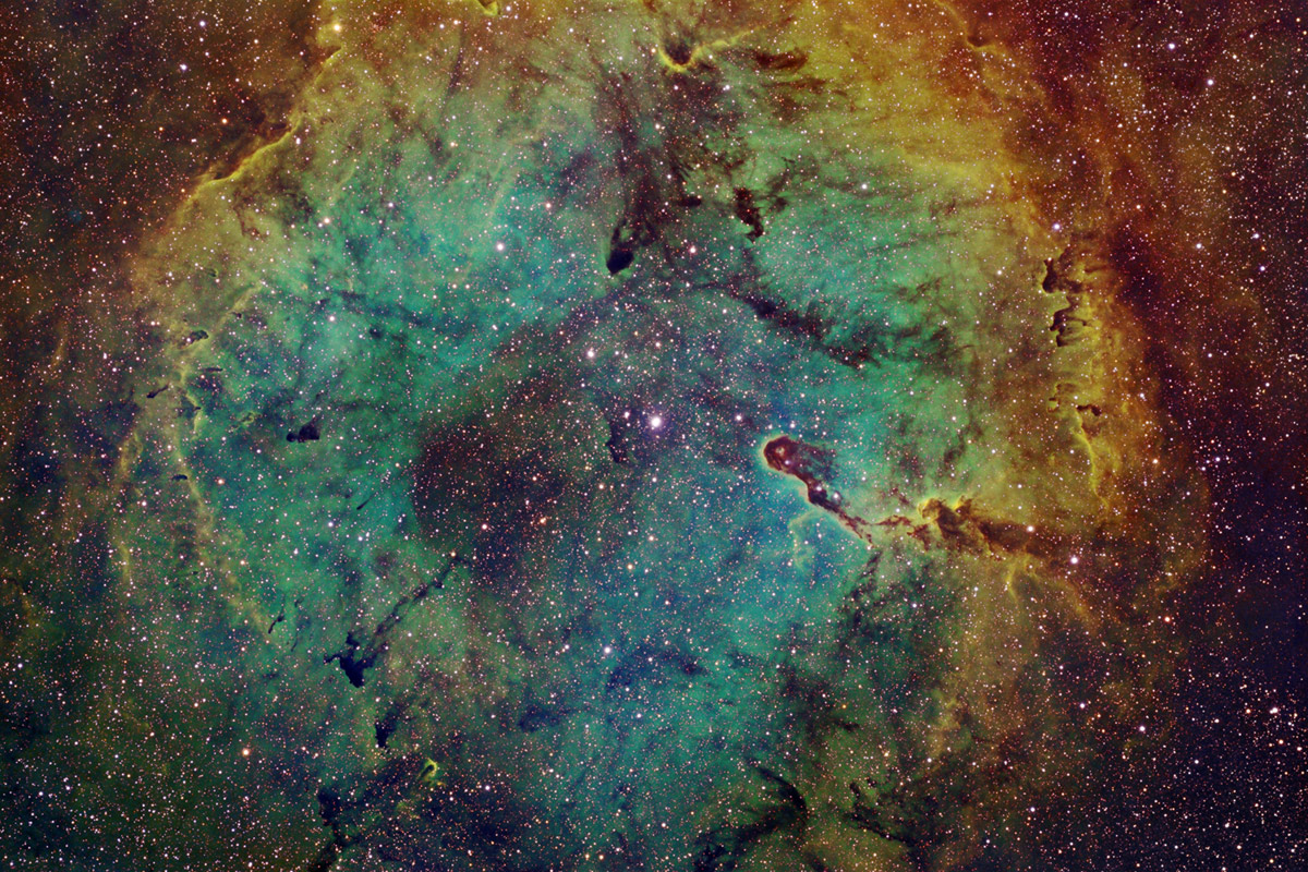 IC1396 - The Emperor Nebula, Tricolor