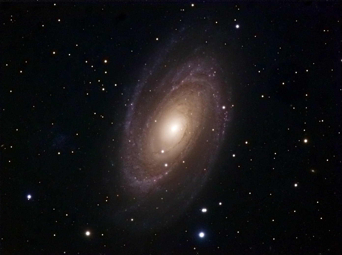 M81
