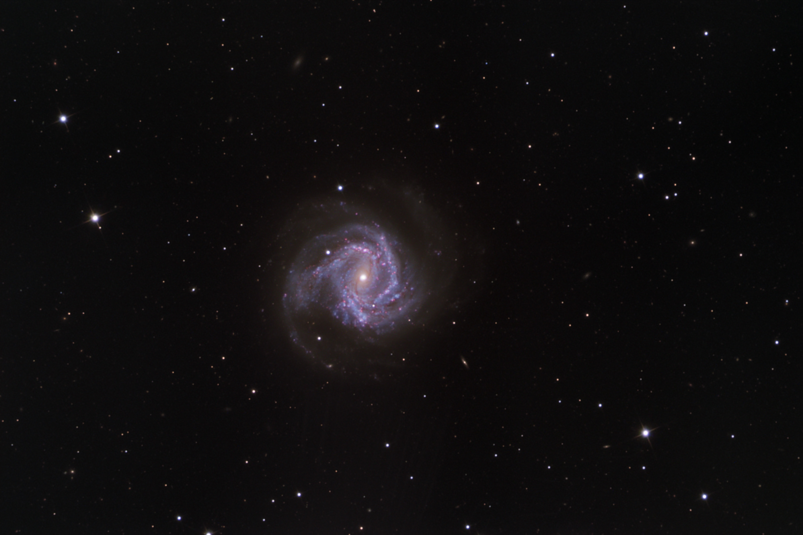 M61