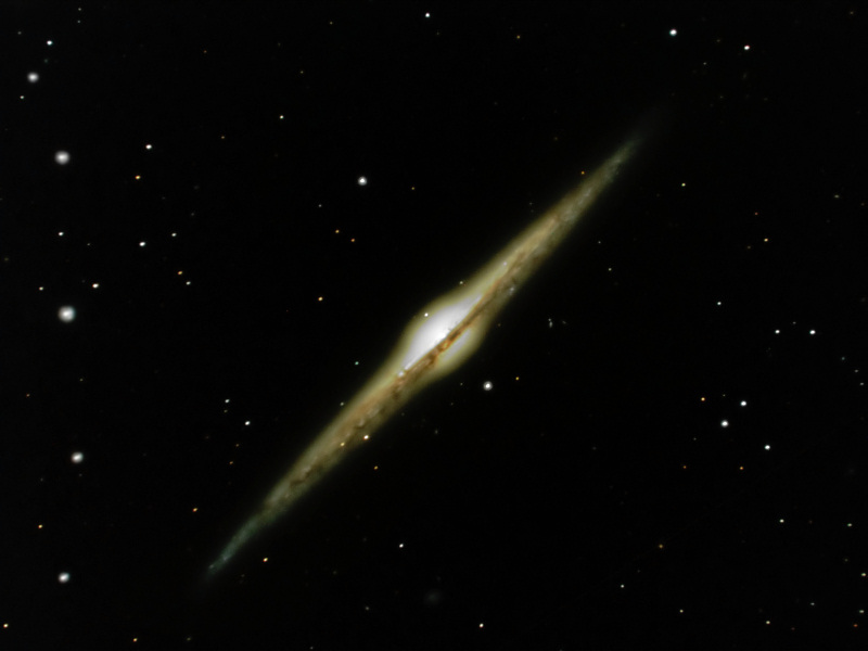 NGC4565