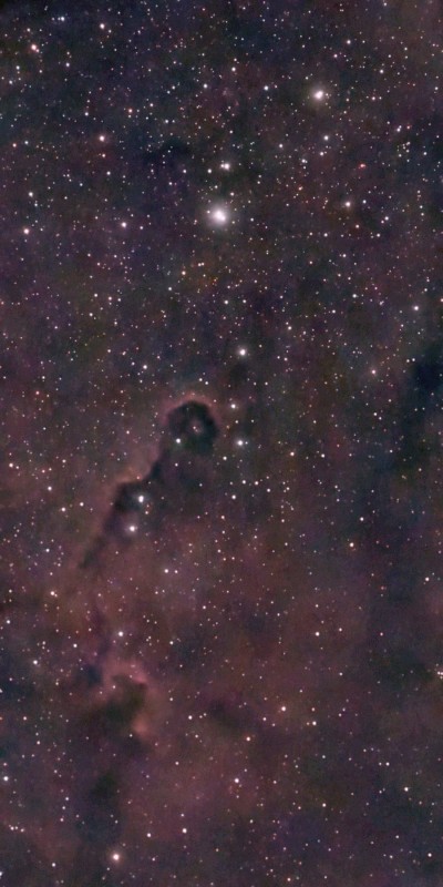 Elephant Trunk Nebula 10/23/23