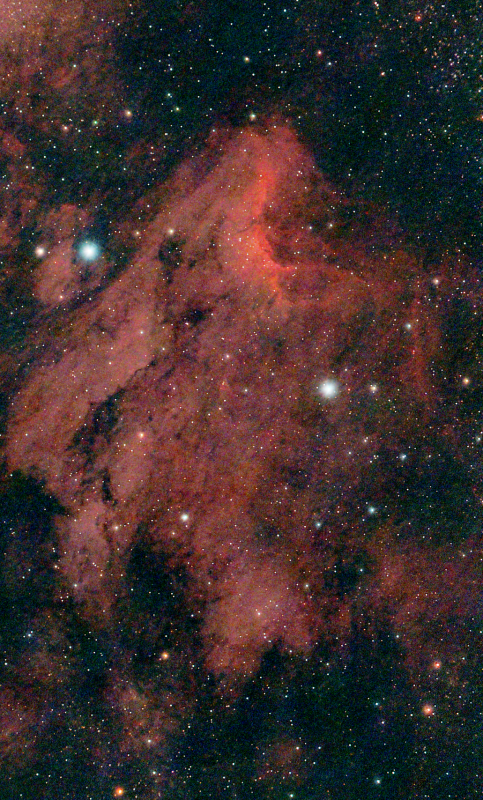 IC 5070 Pelican Nebula