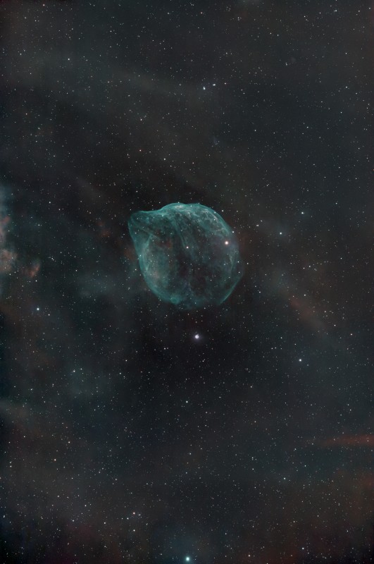 Sh2-308 the Dolphin Head Nebula