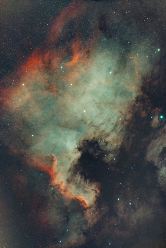 NGC 7000