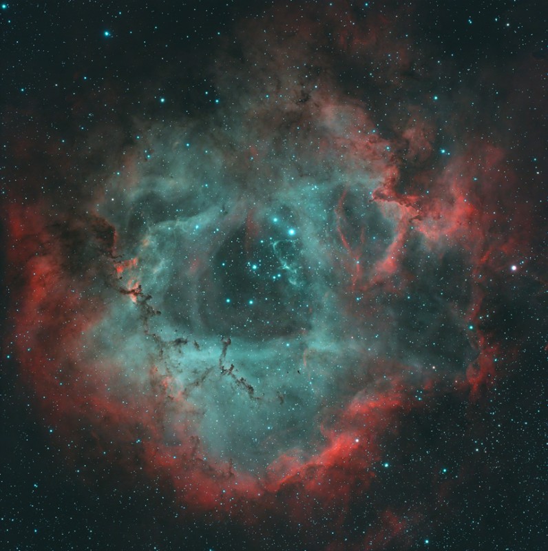 Rosette with L-eNhance Filter