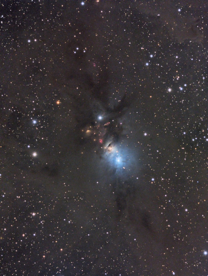 NGC 1333