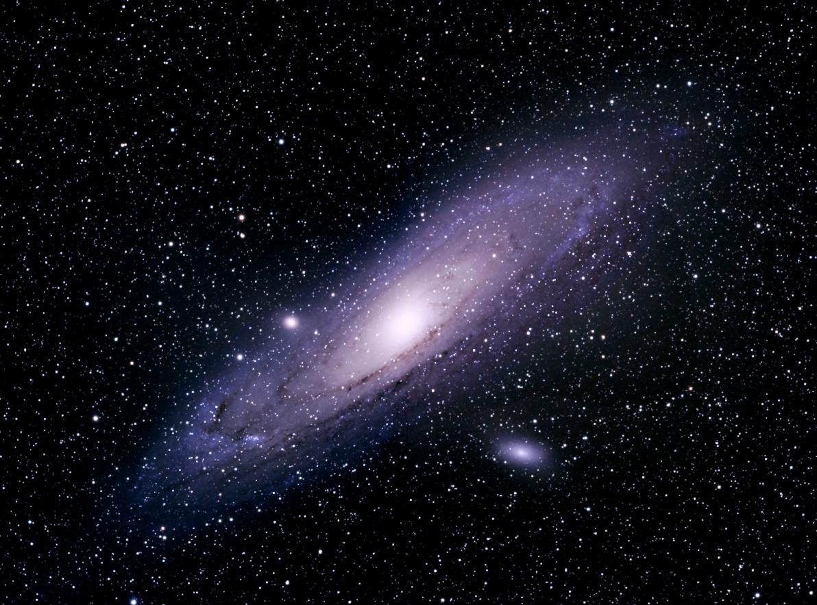 M31