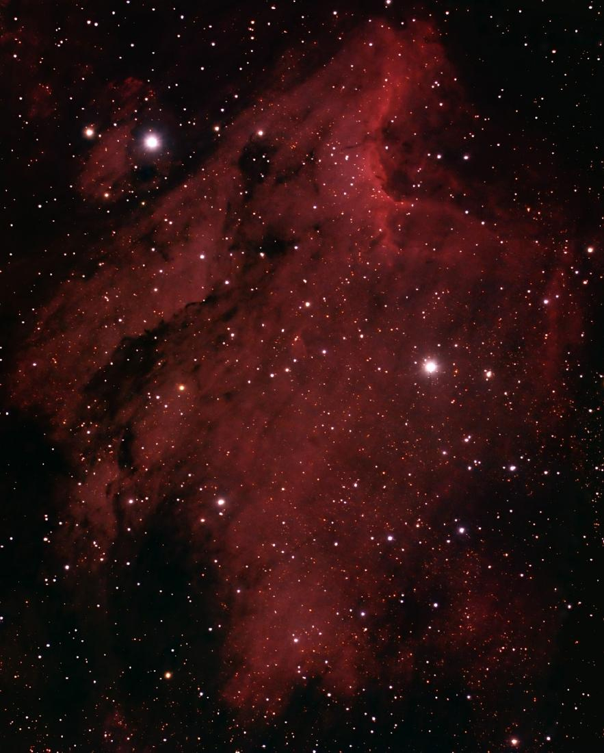Pelican Nebula image