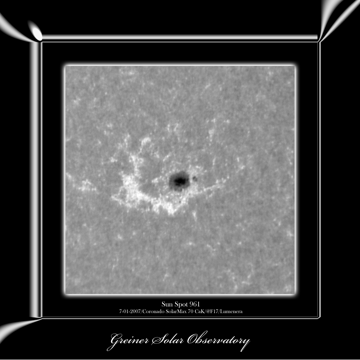 Sun Spot 961 Close up image