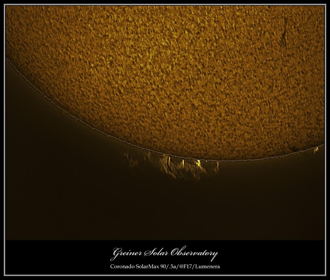 Blank Sun Proms image