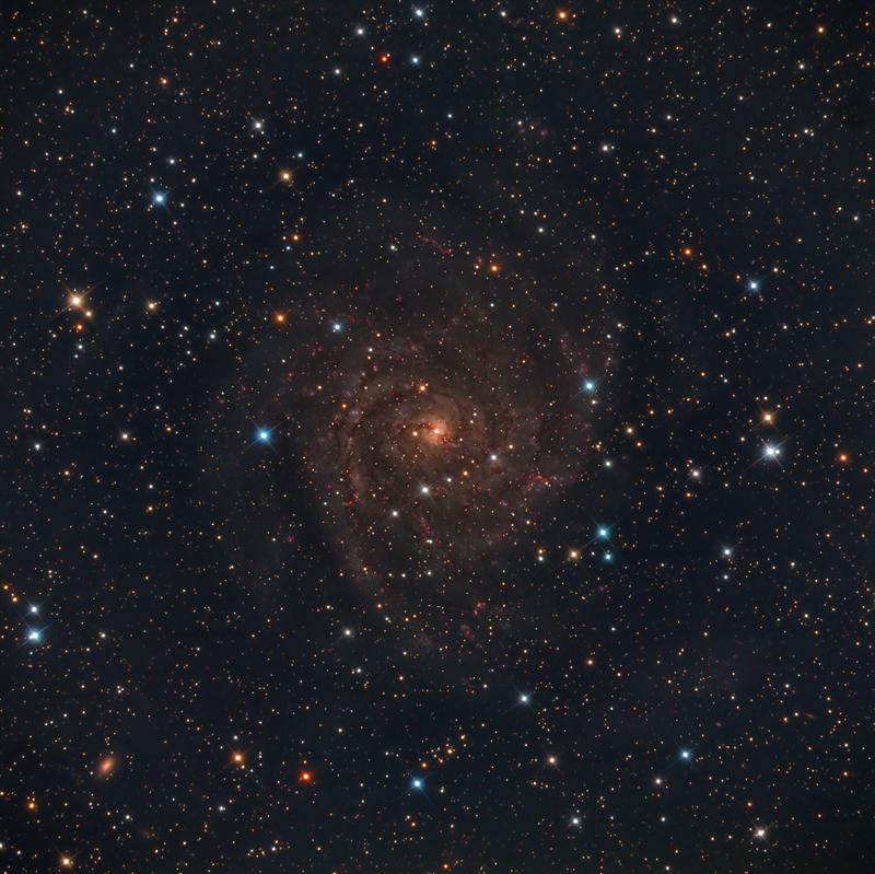 IC 342 image
