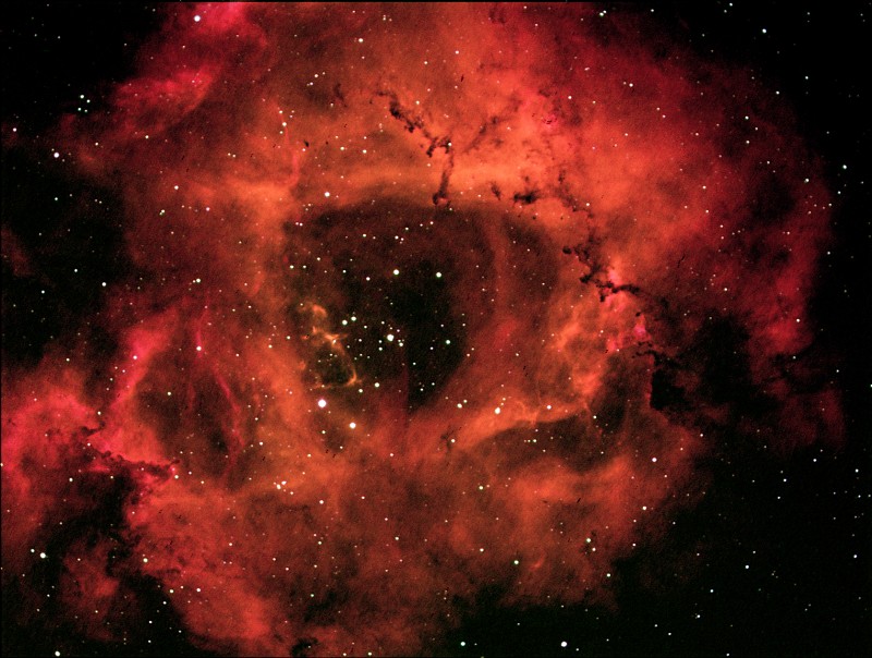 Rosette 1-14-2018