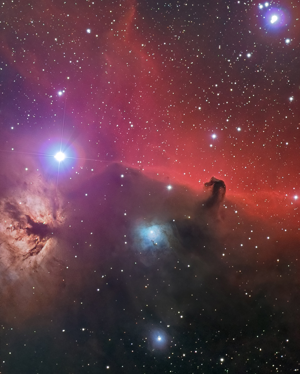 Horsehead complex