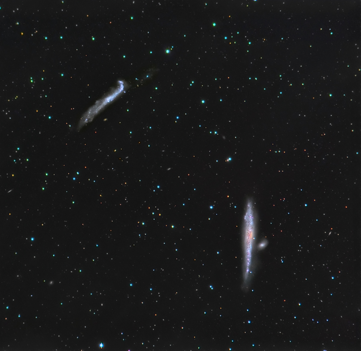Whale Galaxy