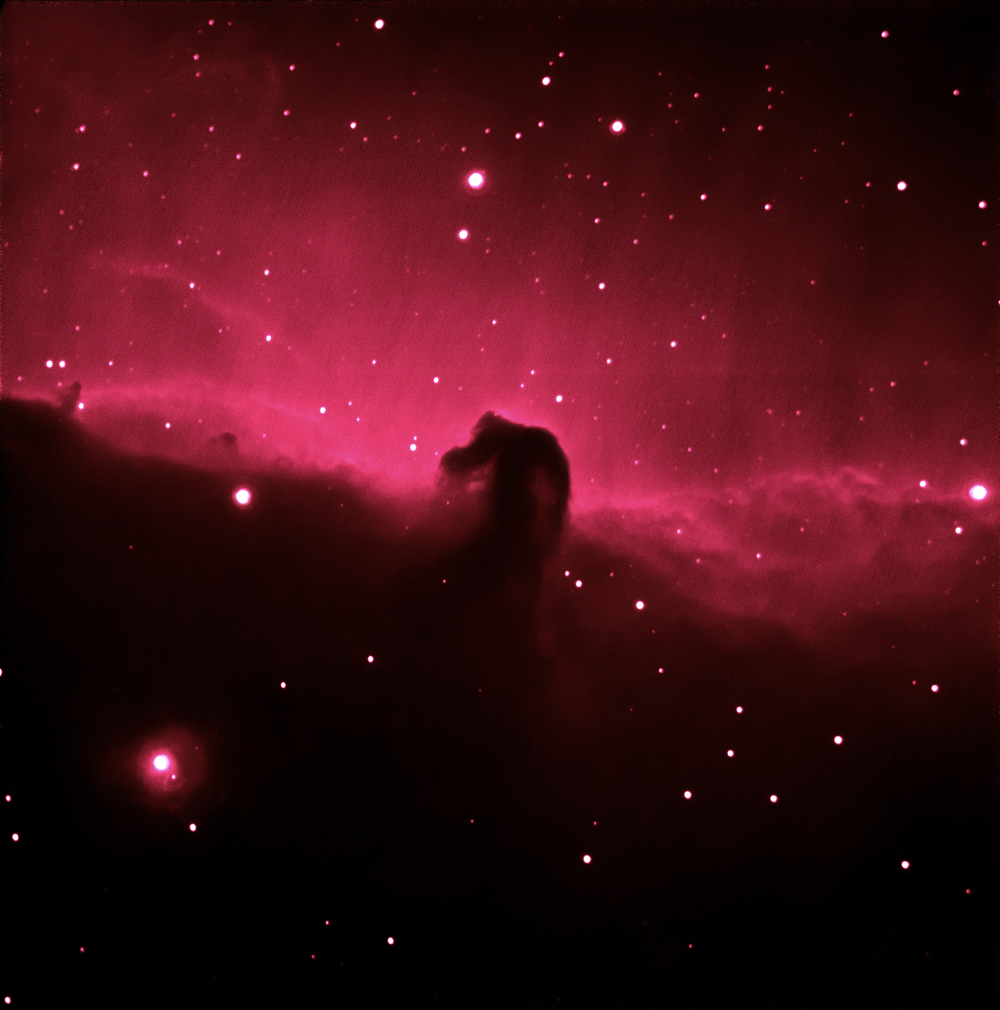 horsehead image