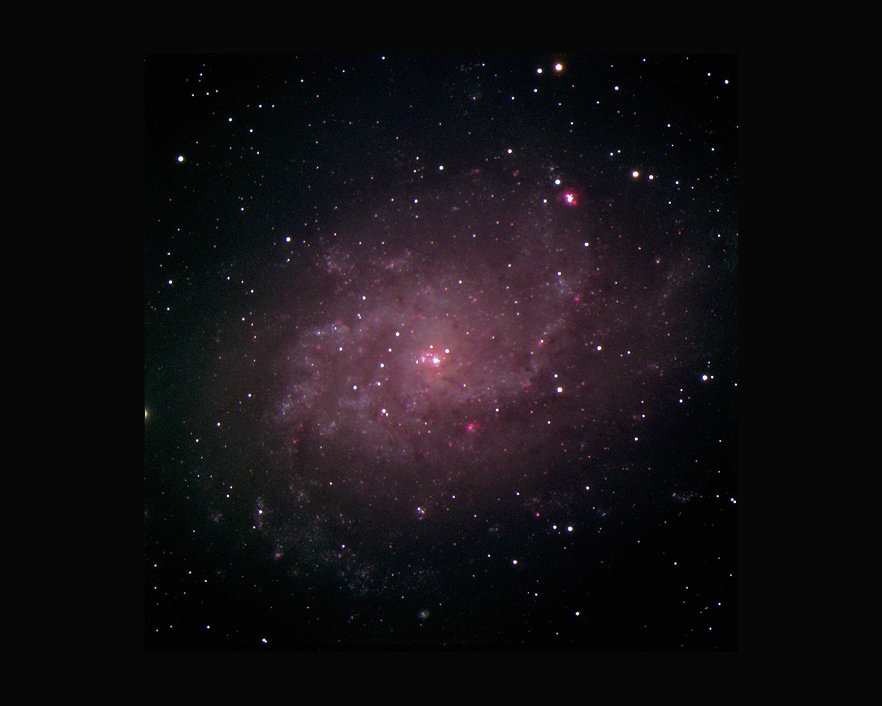 M 33 image